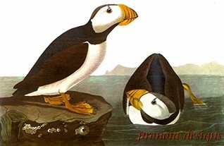 Read online Counted Cross Stitch Pattern: Horned Puffin Bird by John James Audubon - PROFESSIONALLY EDITED Image (Audubon Bird Series) - Pronoia Designs | PDF