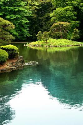 Read Zen Lake in Tokyo Garden Japan Journal: 150 Page Lined Notebook/Diary - NOT A BOOK file in PDF