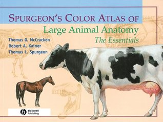 Download Spurgeon's Color Atlas of Large Animal Anatomy: The Essentials - Thomas O. McCracken file in PDF