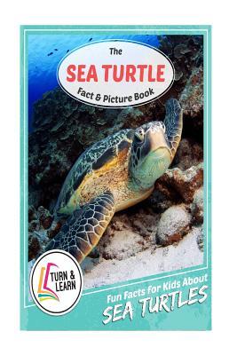 Download The Sea Turtle Fact and Picture Book: Fun Facts for Kids about Sea Turtles - Gina McIntyre file in PDF