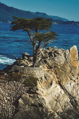 Read online Cypress Trees on California Shore Journal: 150 Page Lined Notebook/Diary - NOT A BOOK file in ePub