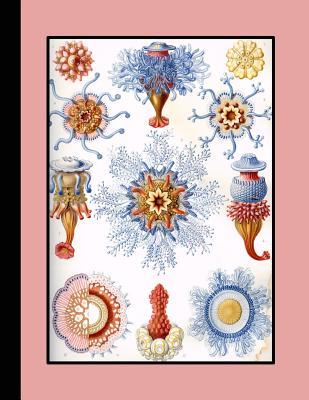 Download Vintage Botanical Illustration Journal: Ernst Haeckel - Siphonophorae Sealife - The Large Botanical Journal for the Marine Life, Shellfish and Sealife Lover - Botanical Illustration Journals file in PDF