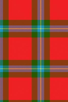 Download Clan MacLaine of Lochbuie Tartan Journal/Notebook - Bagtown Clans file in ePub